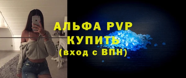 PSILOCYBIN Верея