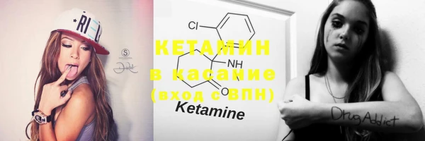 PSILOCYBIN Верея