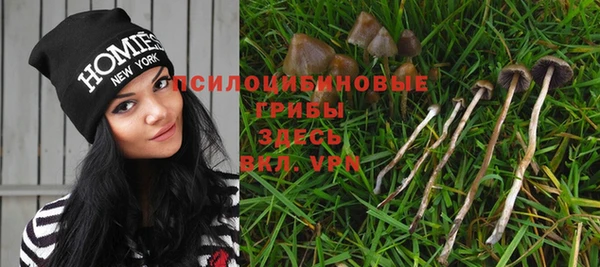 мяу мяу мука Верхнеуральск