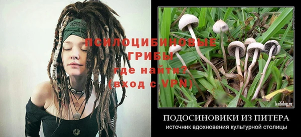 спайс Верхний Тагил
