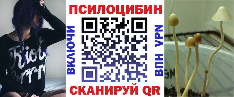 Галлюциногенные грибы ЛСД  ссылка на мегу tor  Кимры  где найти наркотики 